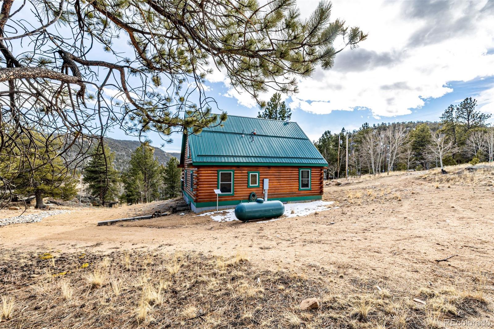 116 Dakota Path Lake George, CO 80827 - Photo 35 of 38 a view of a house with a snow