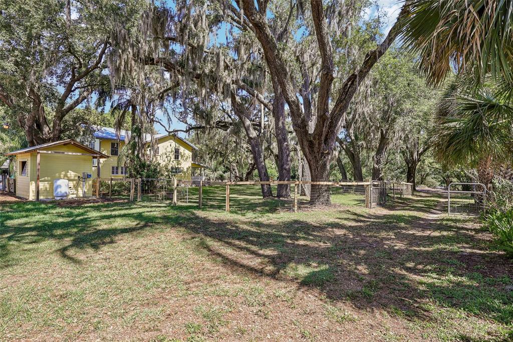 1190 Old Mt Dora Road Eustis, FL 32726 - Photo 62 of 69 a view of a yard with a tree