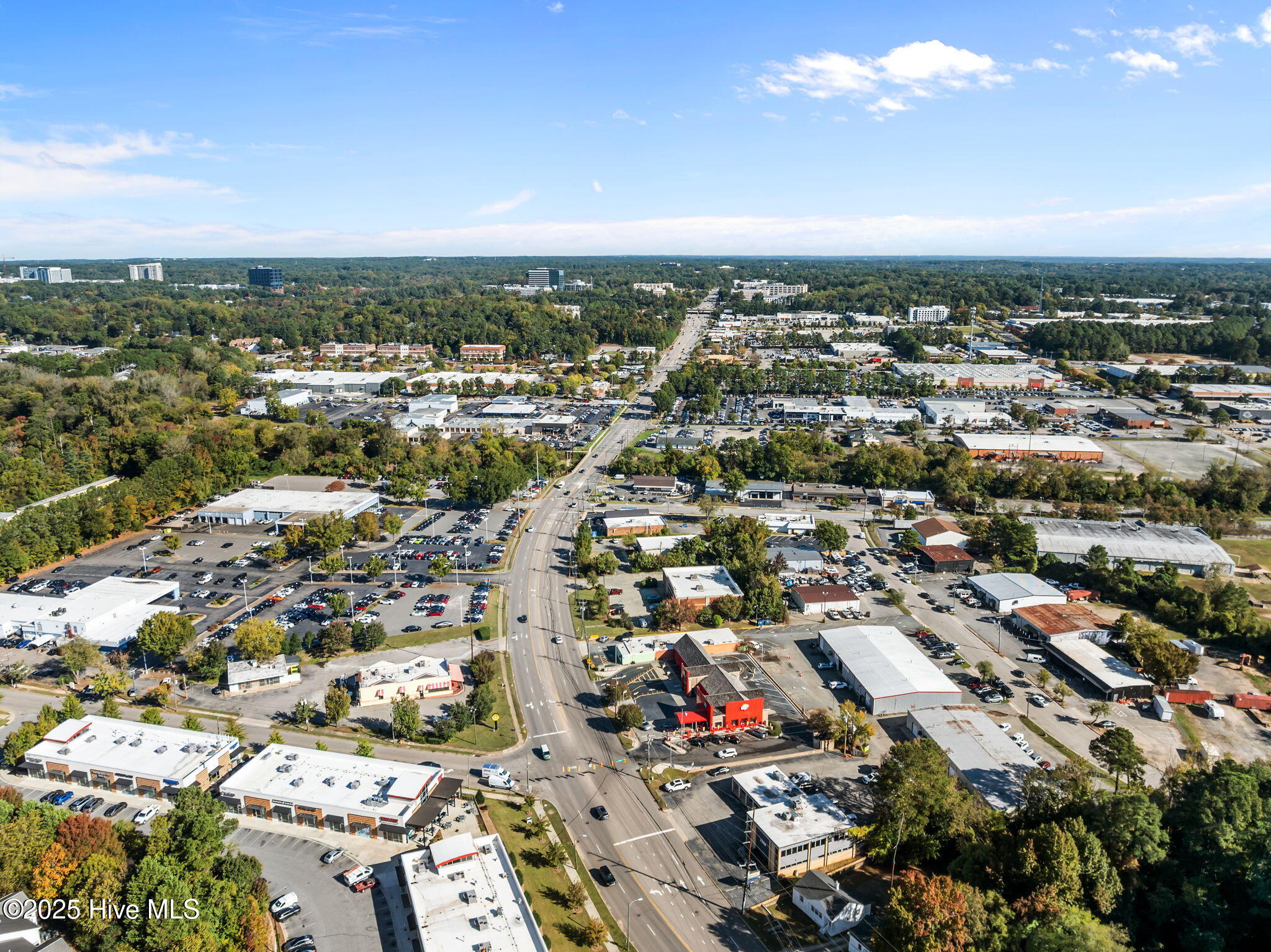 727 East Whitaker Mill Road Raleigh, NC 27608 - Photo 13 of 65 Aerial View