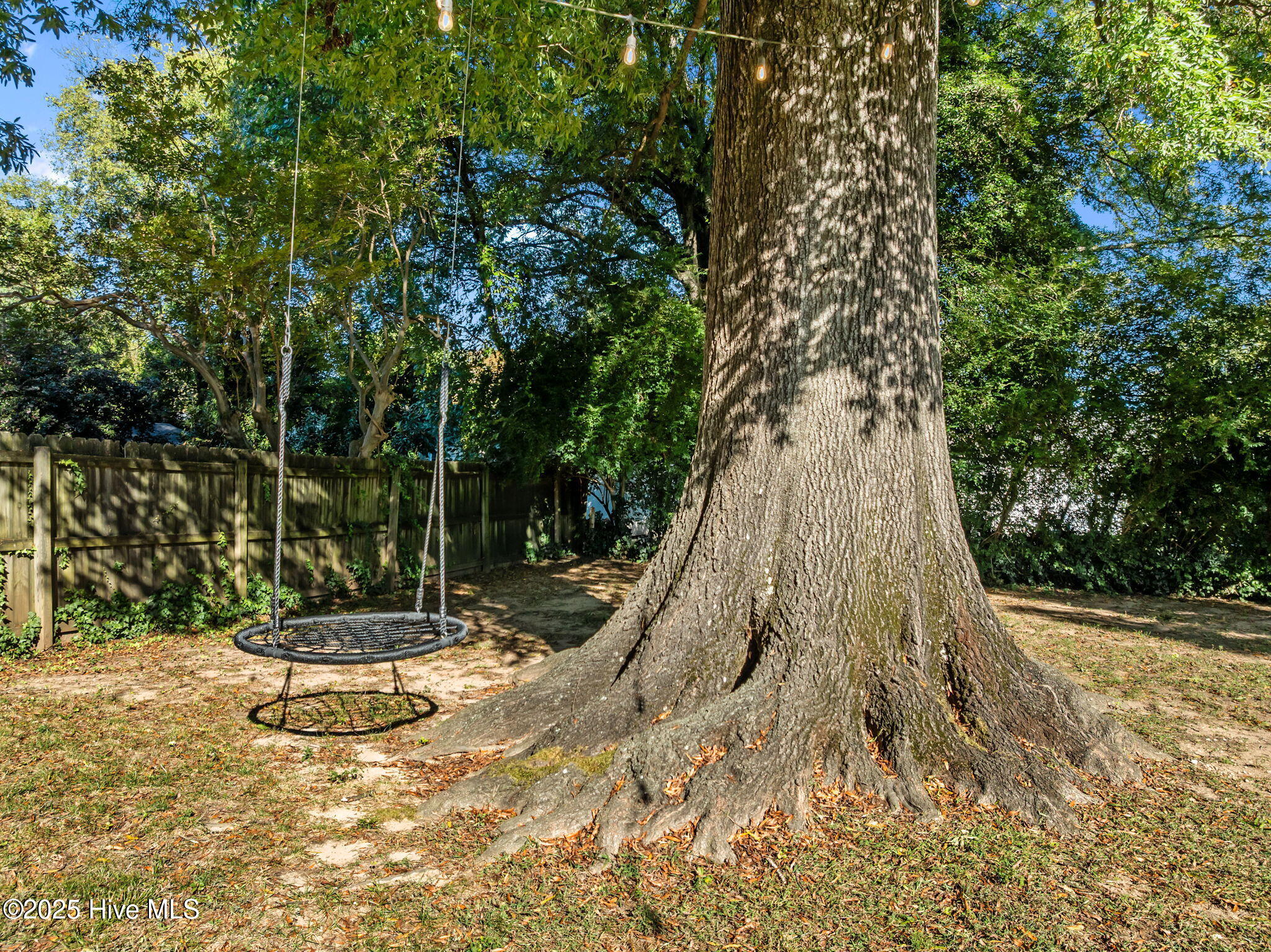 727 East Whitaker Mill Road Raleigh, NC 27608 - Photo 59 of 65 Back Yard