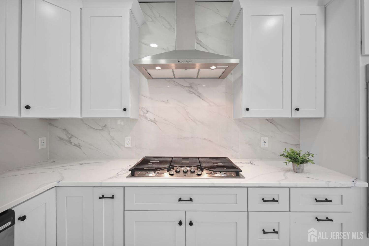 237 Varsity Avenue Princeton, NJ 08540 - Photo 14 of 55