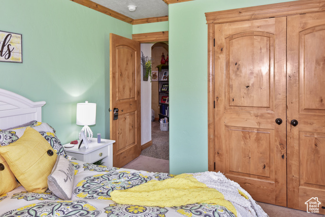 1500 Fish Creek Road Bancroft, ID 83217 - Photo 17 of 45 Bedroom with ornamental molding