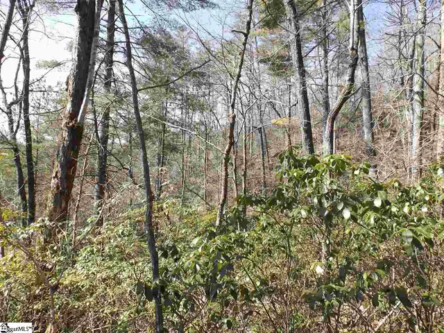 $14,000 | 130 Fairway Woods Drive, Unit LOT 14 FAIRWAY WOODS DRIVE, Pickens, SC 29671