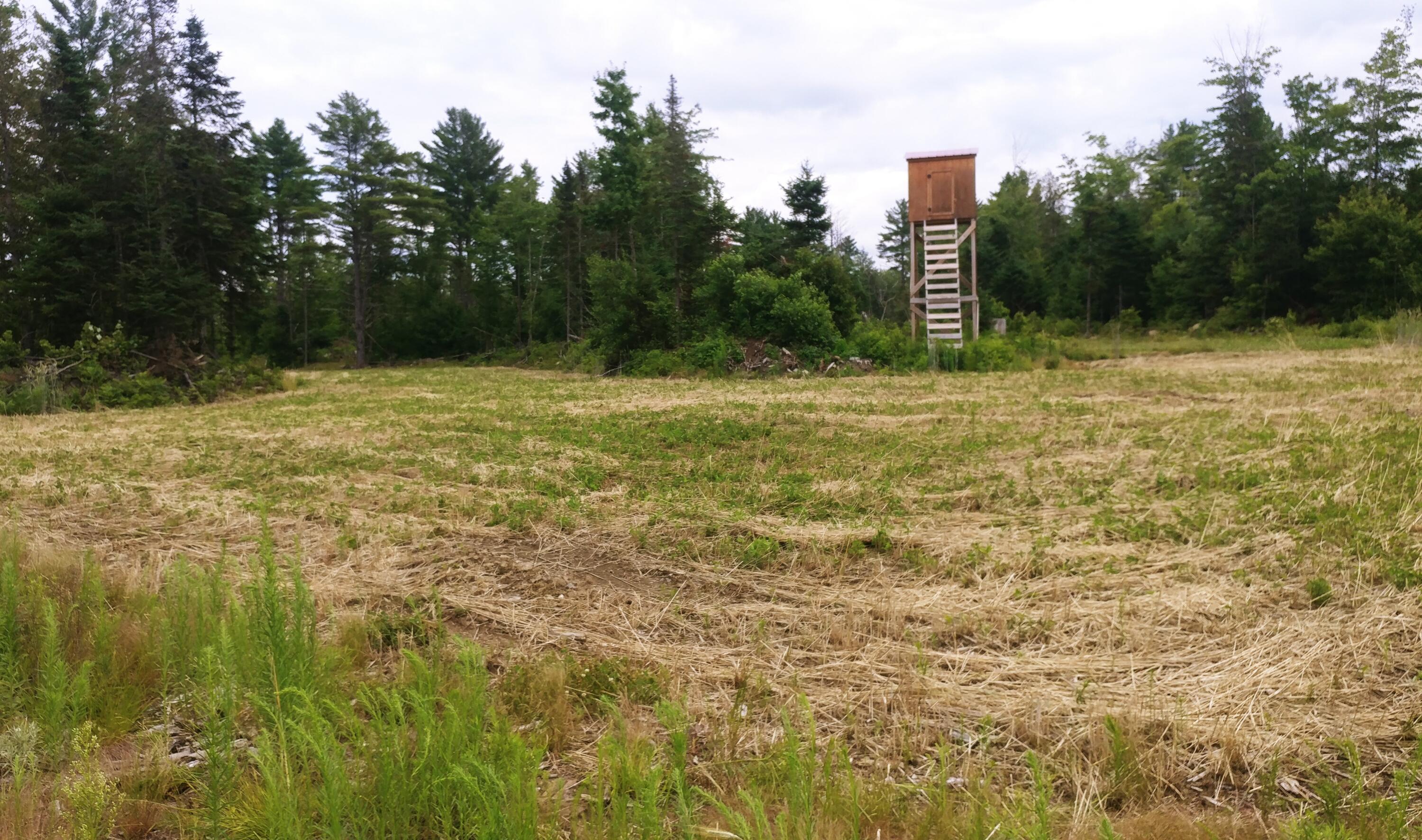 0 Williamsburg Road Brownville, ME 04414 - Photo 4 of 5 Toby Arno 4