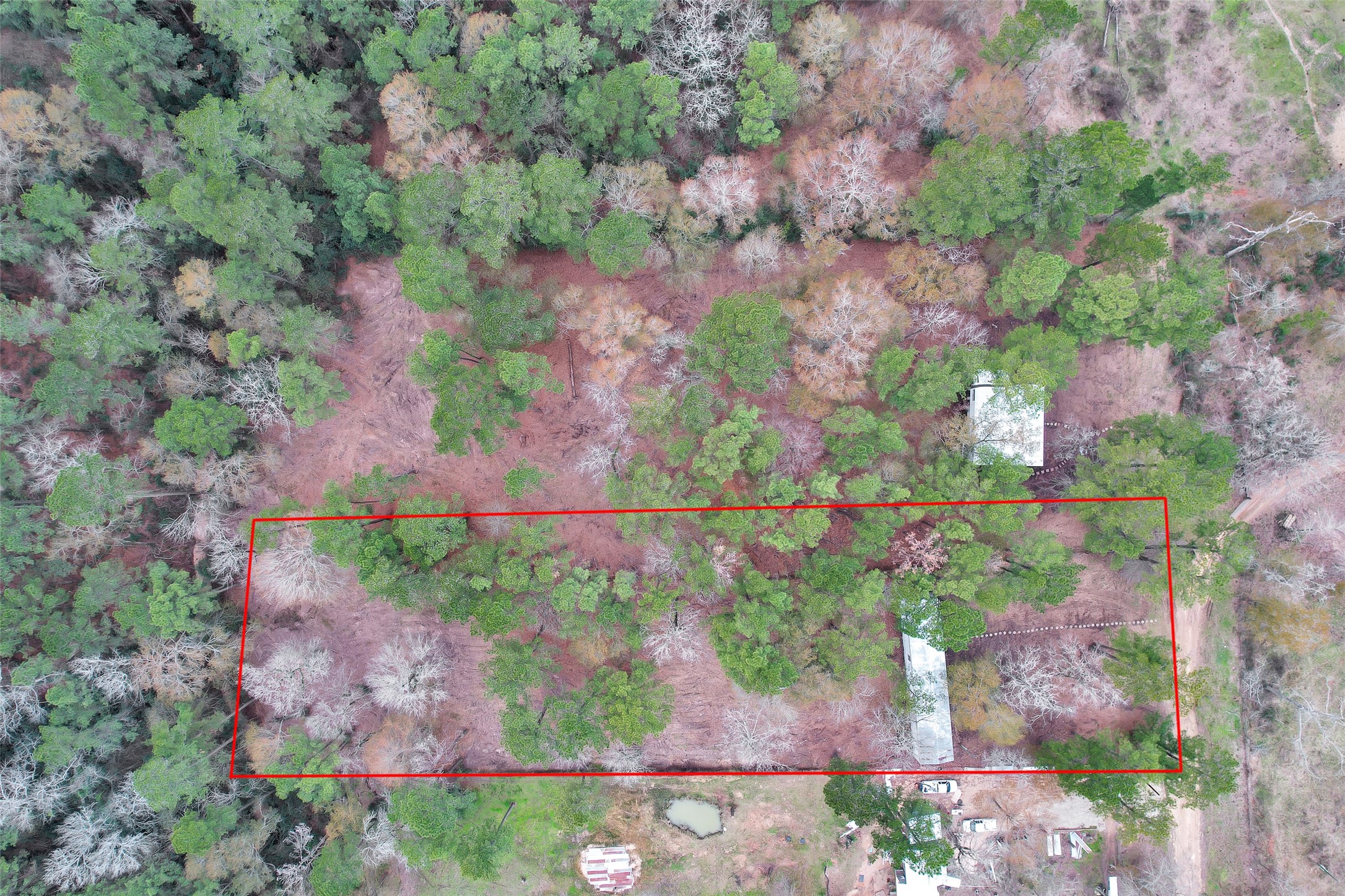 Split A Tall Pine Road Navasota, TX 77868 - Photo 9 of 22 a view of a yard