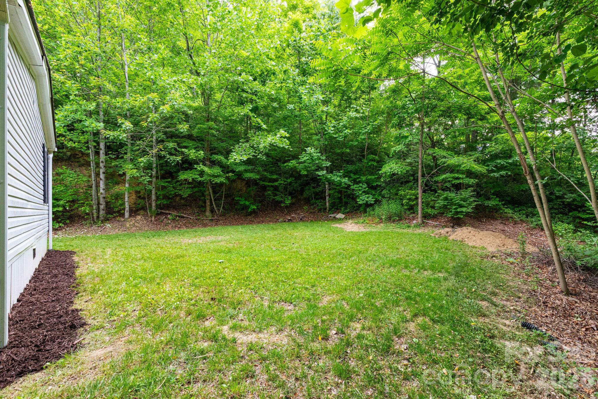 61 Blue Mountain Road Fairview, NC 28730 - Photo 22 of 26