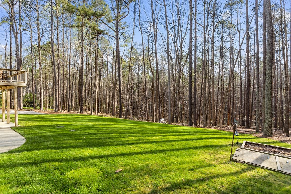 8120 Hawkshead Road Wake Forest, NC 27587 - Photo 10 of 70 a view of a park with a large trees