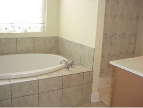 214 Rockingham Road Johnson City, TN 37615 - Photo 8 of 12 master bath with separate tub
