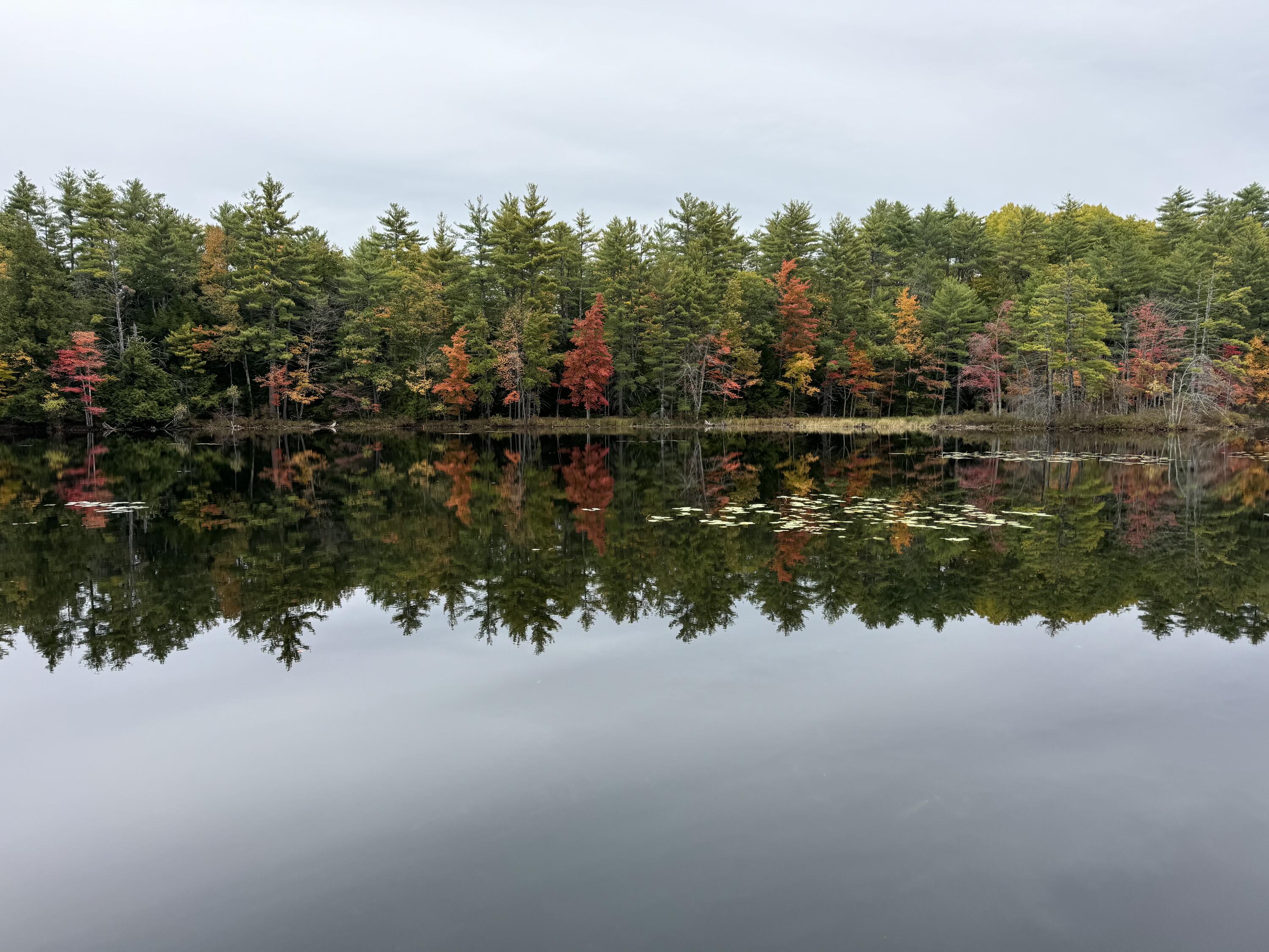 148 Beaver Brook Road Limerick, ME 04048 - Photo 2 of 12