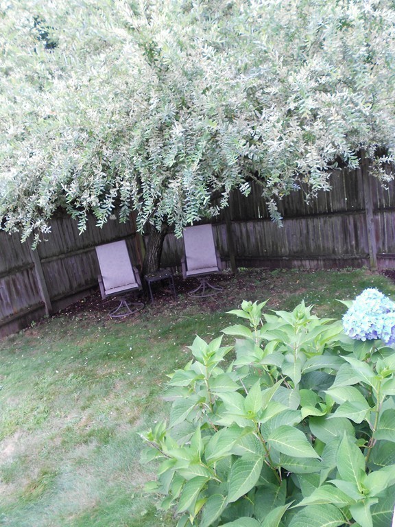 12 Tulsa Street Springfield, MA 01118 - Photo 21 of 24