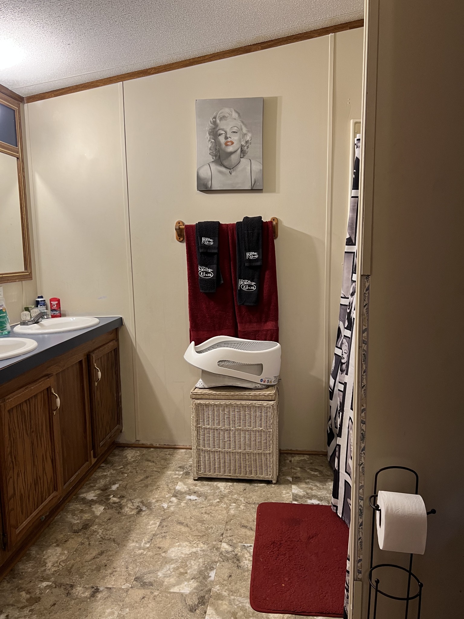 141 Absher Road Portland, TN 37148 - Photo 8 of 14 a bathroom with a sink a toilet and mirror