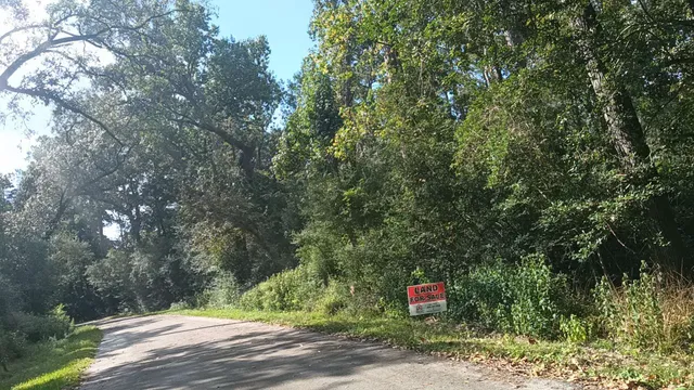 a green field covered with trees