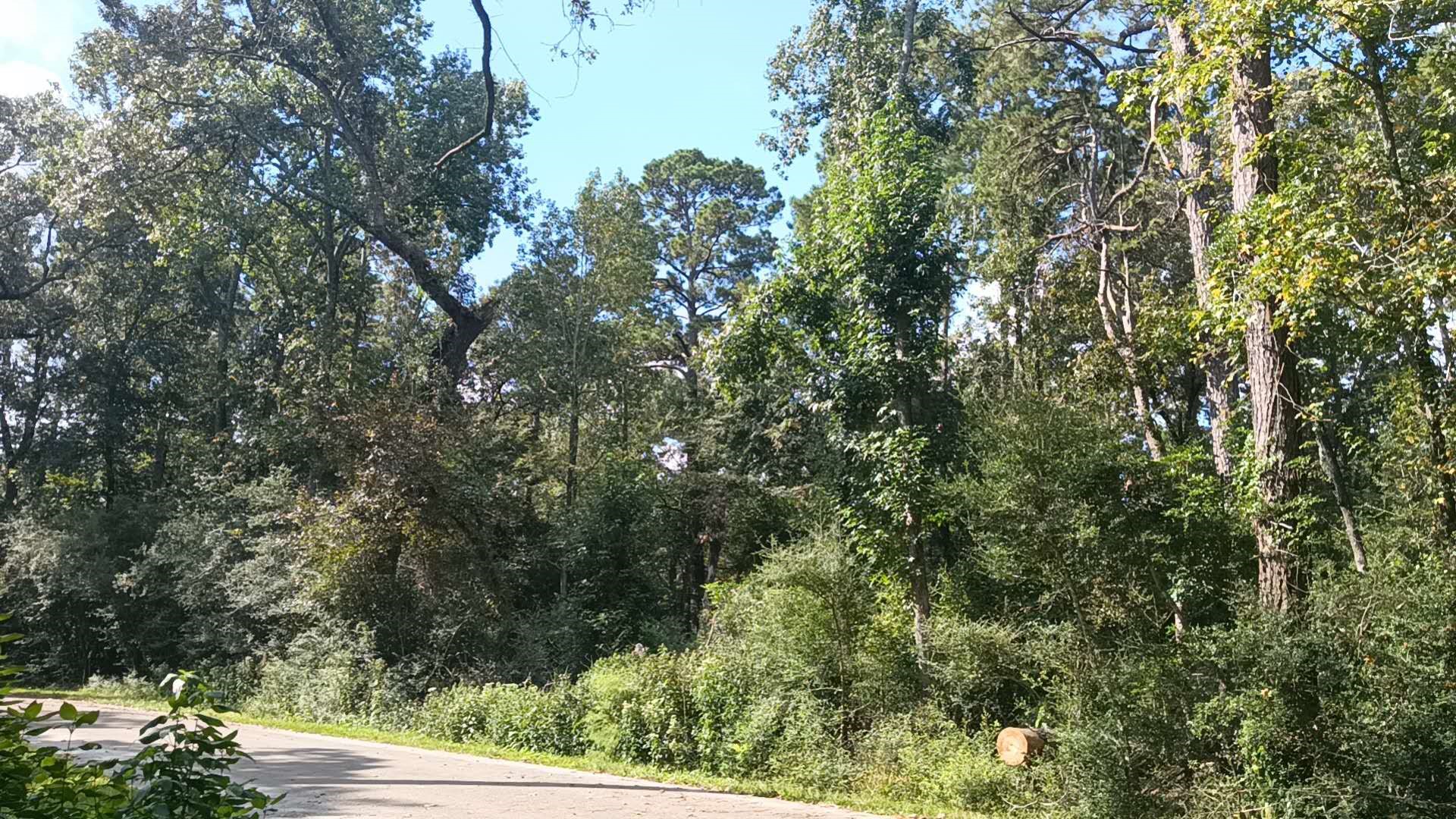 Tbd Cimmaron Drive Magnolia, TX 77355 - Photo 5 of 7 an outdoor view of house with green space
