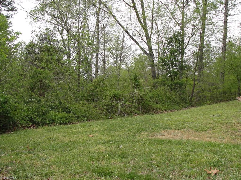 1534 Spainhour Mill Road Pinnacle, NC 27043 - Photo 27 of 30 Gallery Image 27
