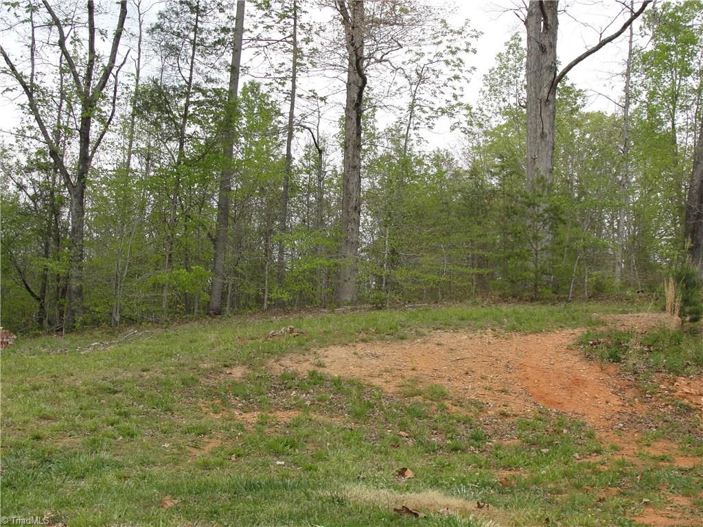 1534 Spainhour Mill Road Pinnacle, NC 27043 - Photo 28 of 30 Gallery Image 28