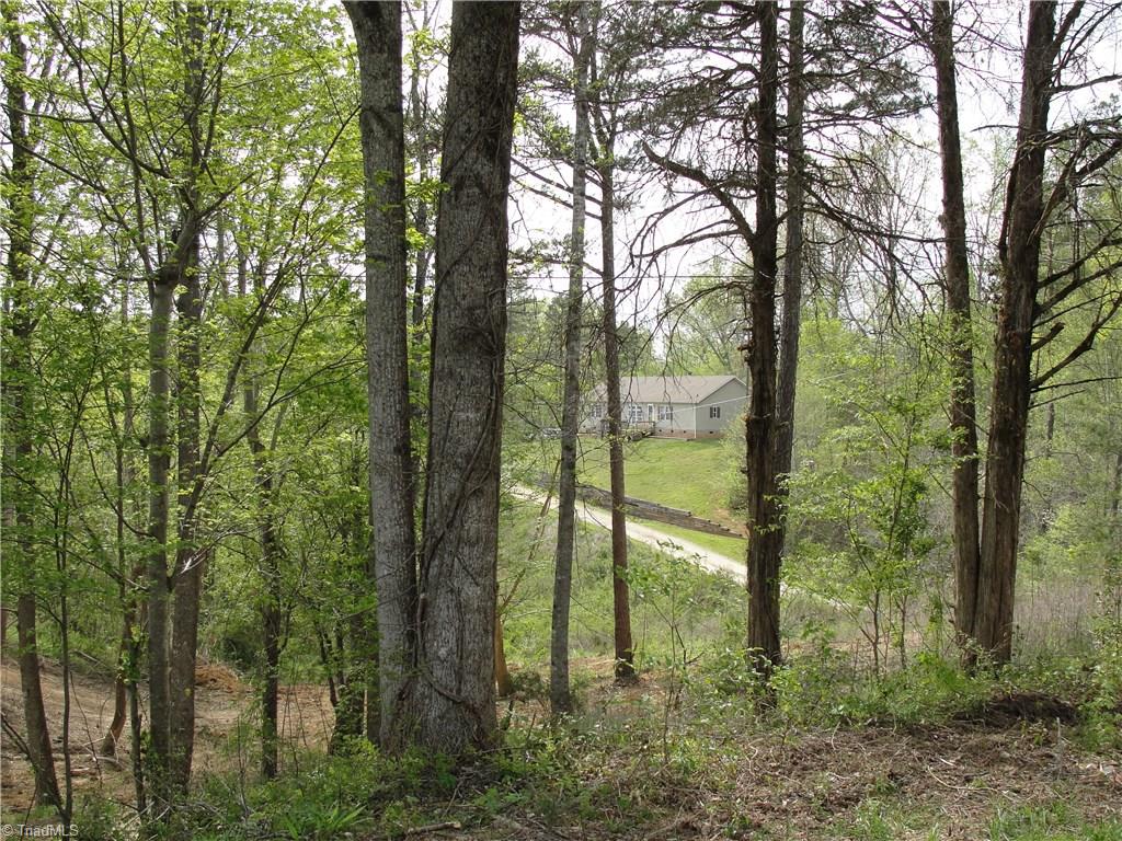 1534 Spainhour Mill Road Pinnacle, NC 27043 - Photo 30 of 30 Gallery Image 30