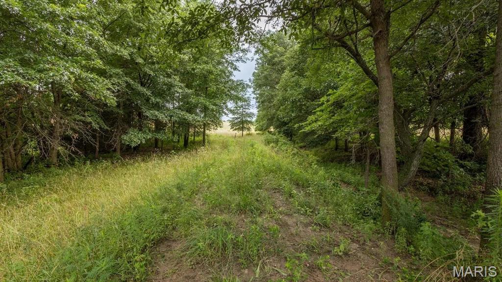 0 Sand Creek Bottom Road Greentop, MO 63546 - Photo 9 of 52
