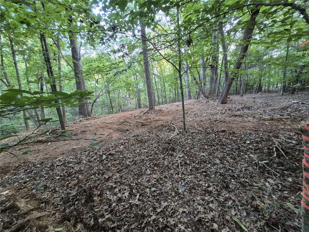 207 Turk Road Townville, SC 29689 - Photo 8 of 25 Gallery Image 8