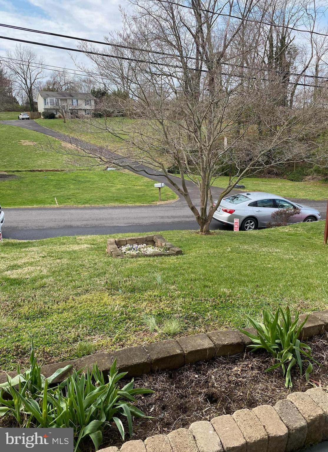 321 Spring Street Culpeper, VA 22701 - Photo 49 of 50 Front yard