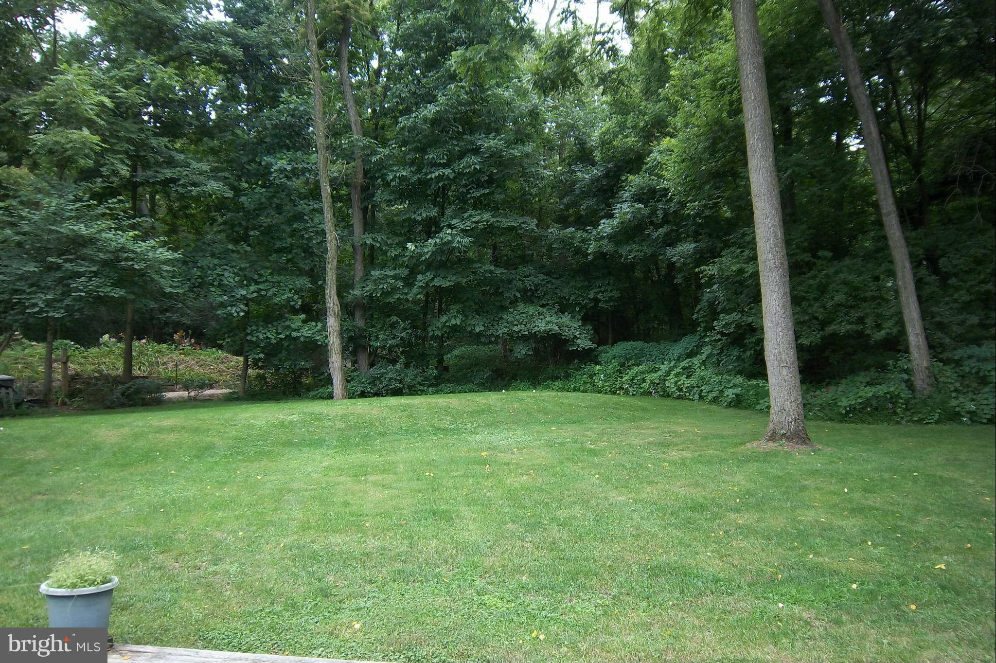 7749 Talhelm Road Chambersburg, PA 17202 - Photo 24 of 26 a view of a grassy field with trees in the background