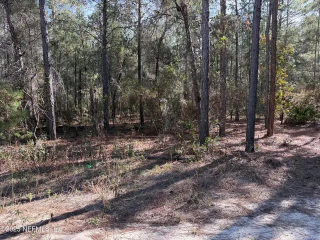 a view of outdoor space with trees