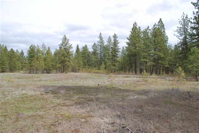 0 South Malloy Prairie Road, Unit PARCEL B Cheney, WA 99004 - Photo 1 of 3