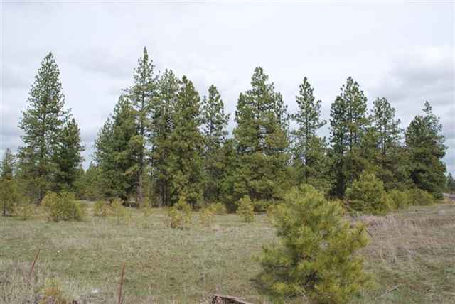 0 South Malloy Prairie Road, Unit PARCEL B Cheney, WA 99004 - Photo 3 of 3