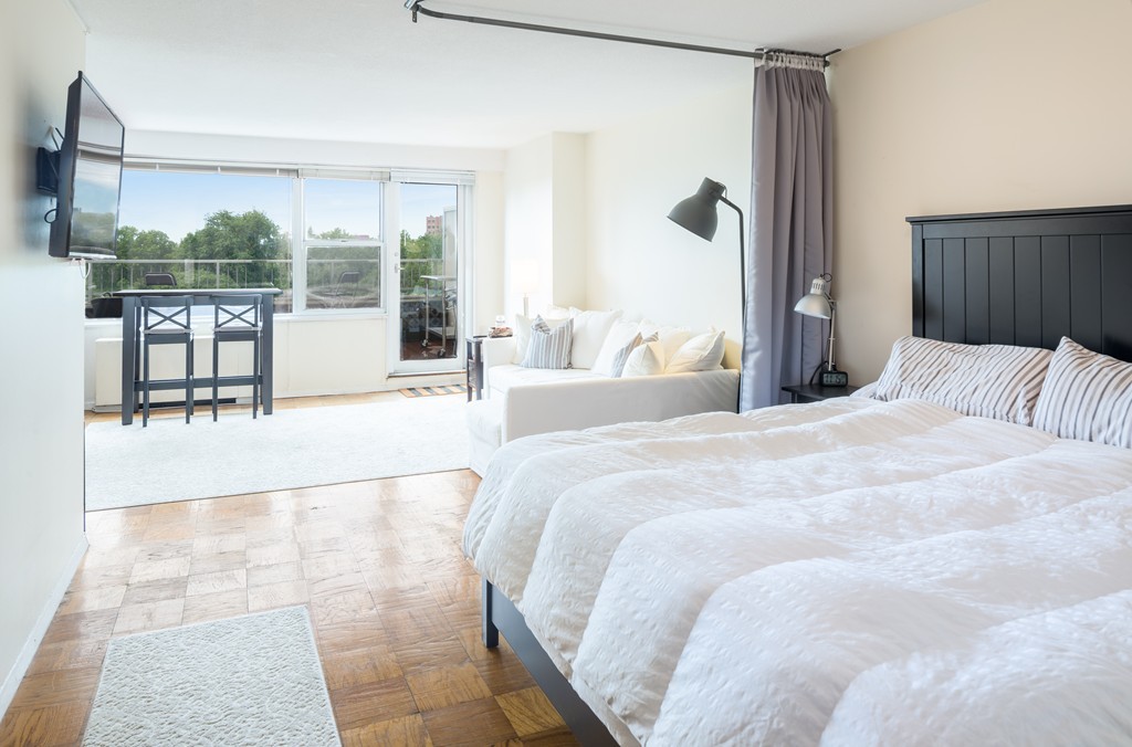 151 Tremont Street, Unit 6M Boston, MA 02111 - Photo 3 of 9