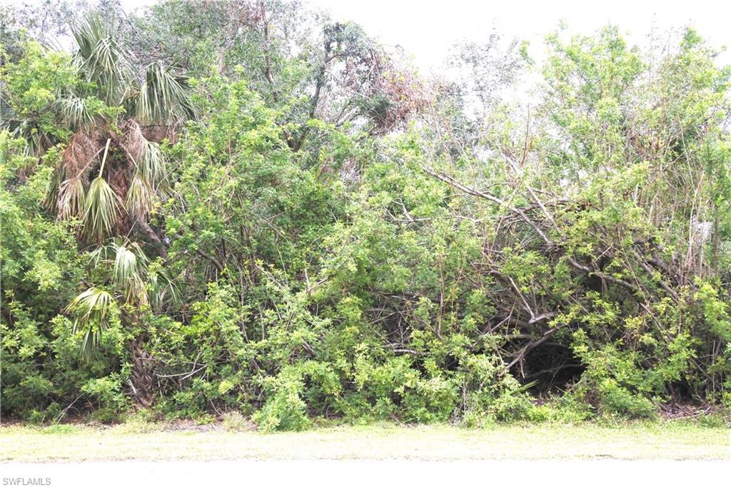 15631 Cemetery Road Fort Myers, FL 33905 - Photo 2 of 2 a view of a yard