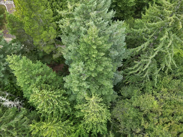 $91,000 | Collard Loop, Florence, OR 97439