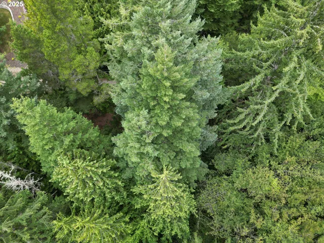a view of a lake with a mountain