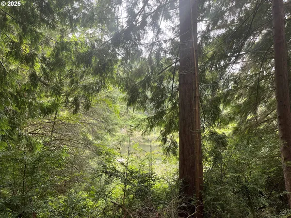 $91,000 | Collard Loop, Florence, OR 97439