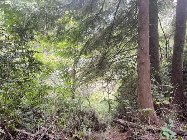 $91,000 | Collard Loop, Florence, OR 97439