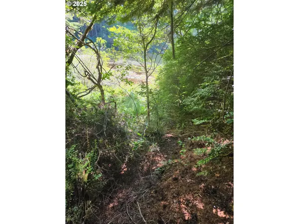 $91,000 | Collard Loop, Florence, OR 97439