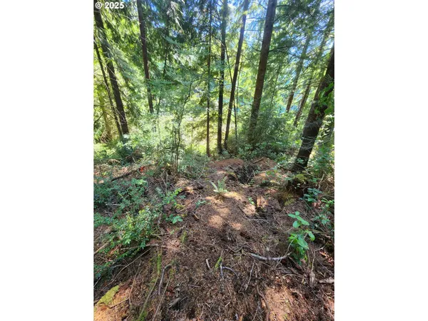 $91,000 | Collard Loop, Florence, OR 97439