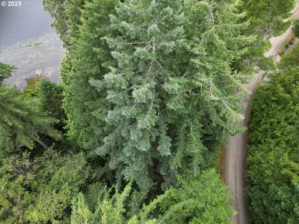 $91,000 | Collard Loop, Florence, OR 97439