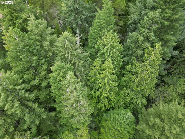 $91,000 | Collard Loop, Florence, OR 97439