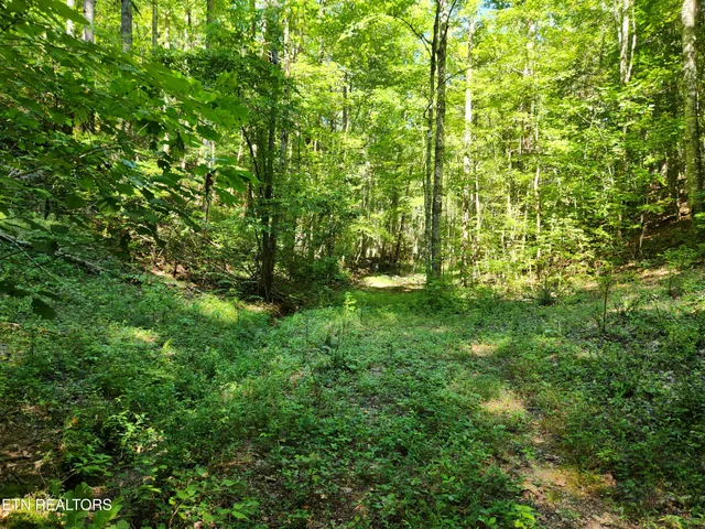 $419,000 | 2364 Mt Pleasant Road, Vonore, TN 37885