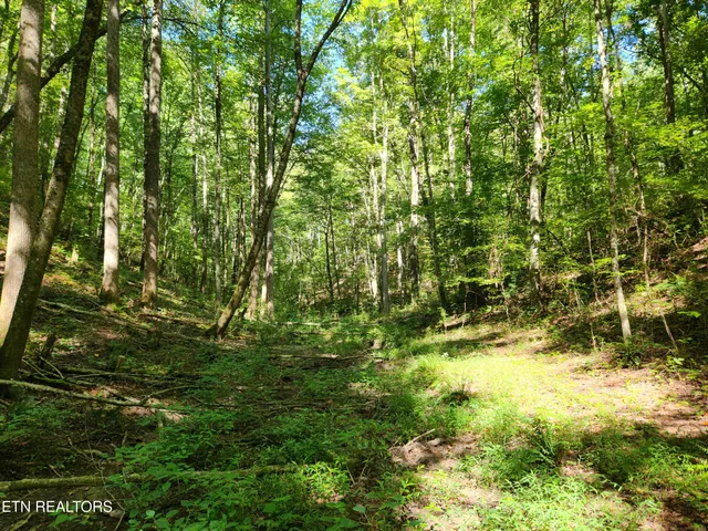 $419,000 | 2364 Mt Pleasant Road, Vonore, TN 37885