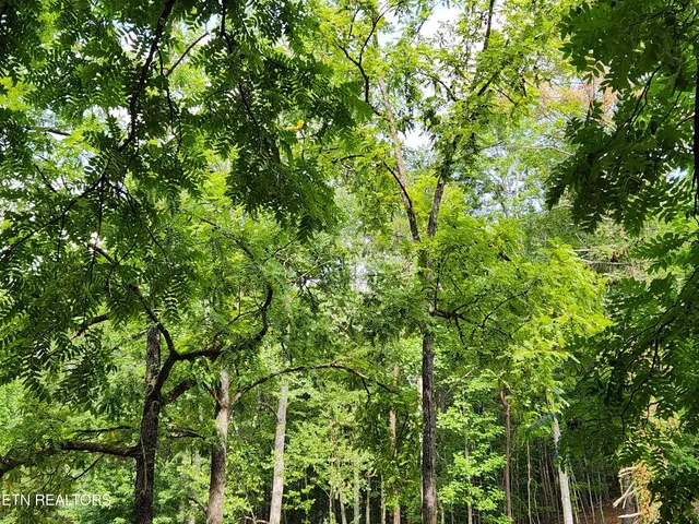 $419,000 | 2364 Mt Pleasant Road, Vonore, TN 37885