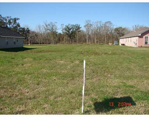 414 Magnolia Ridge Road Boutte, LA 70039 - Photo 1 of 1 Gallery Image 1