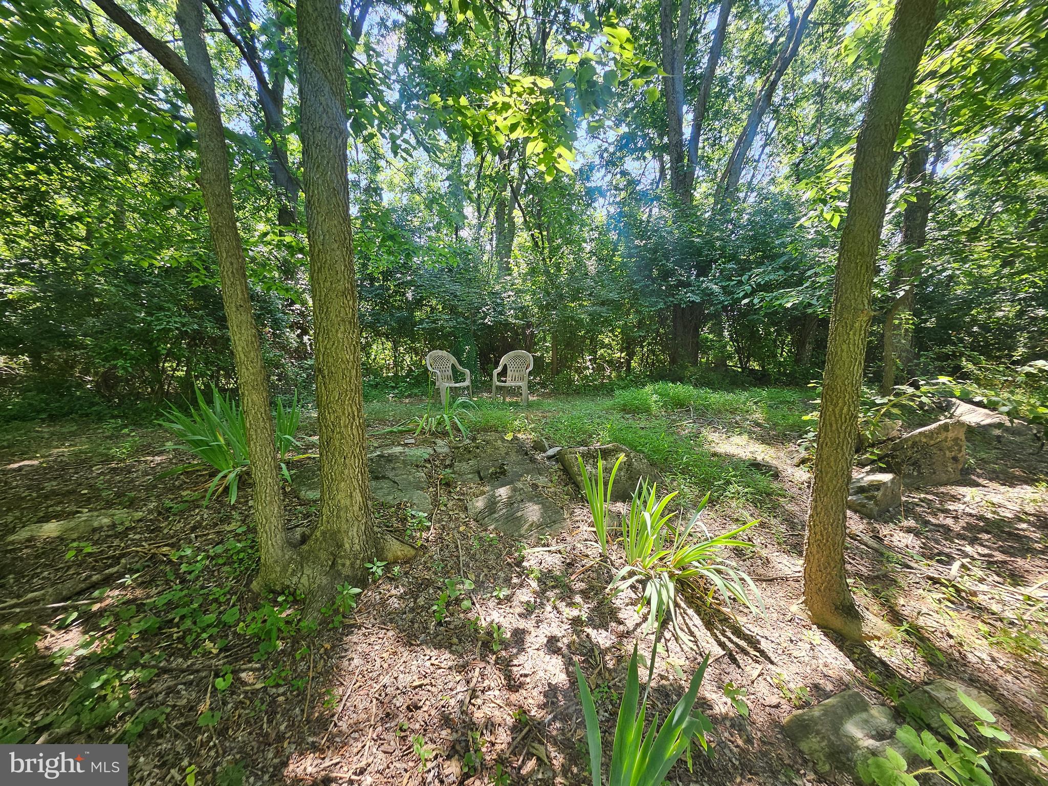 1918 Senseny Road Berryville, VA 22611 - Photo 45 of 58
