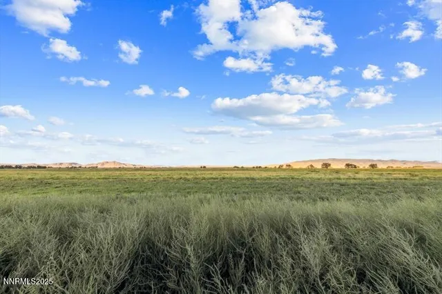 a view of a city with lots of green space