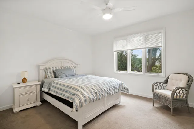 a view of a garden with a tree