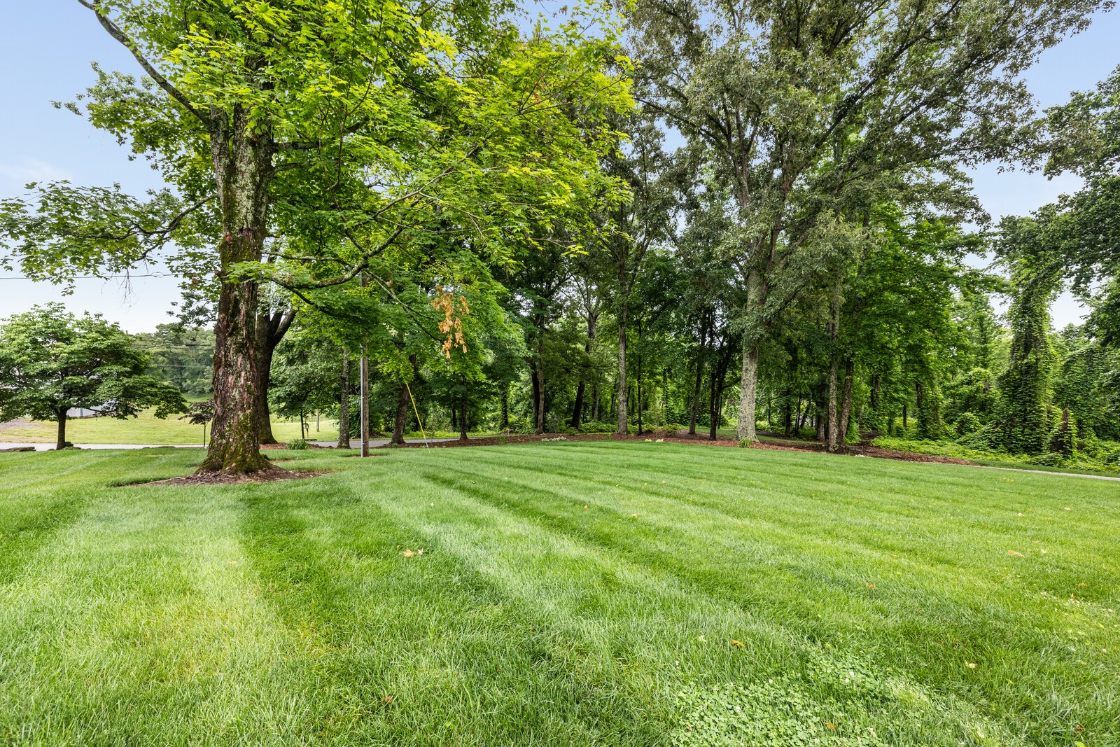 380 Webbs Camp Road Walling, TN 38587 - Photo 66 of 91