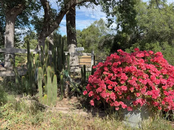 a backyard of a house with barbeque oven