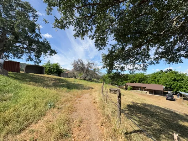 a view of a house with a yard and large tree