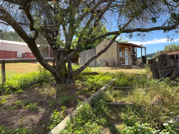 a view of outdoor space and yard