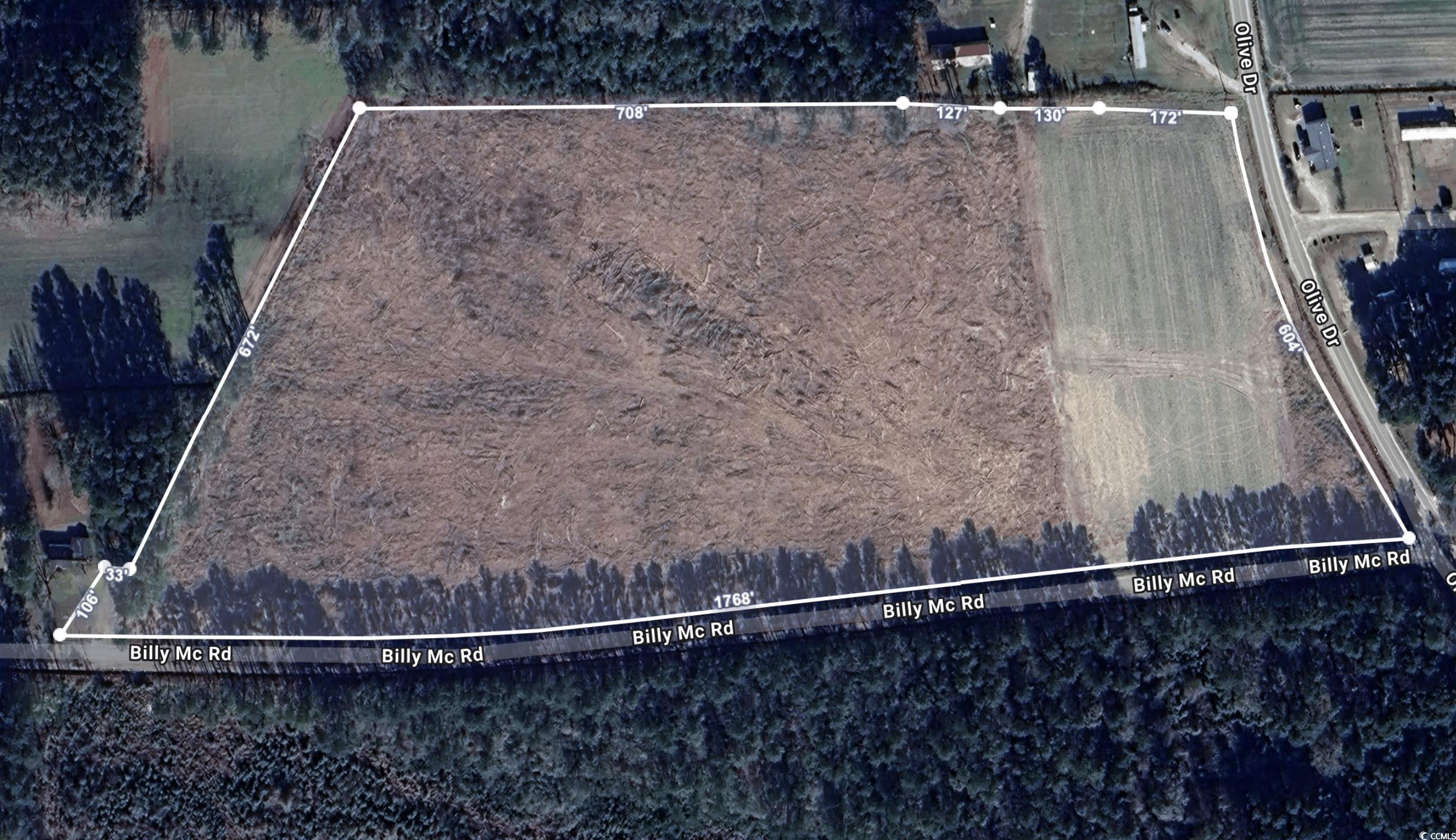 Tbd Billy Mc Road Green Sea, SC 29545 - Photo 1 of 6