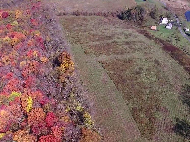 191 Pyle Road Jefferson, PA 15344 - Photo 24 of 24 a view of a dry yard